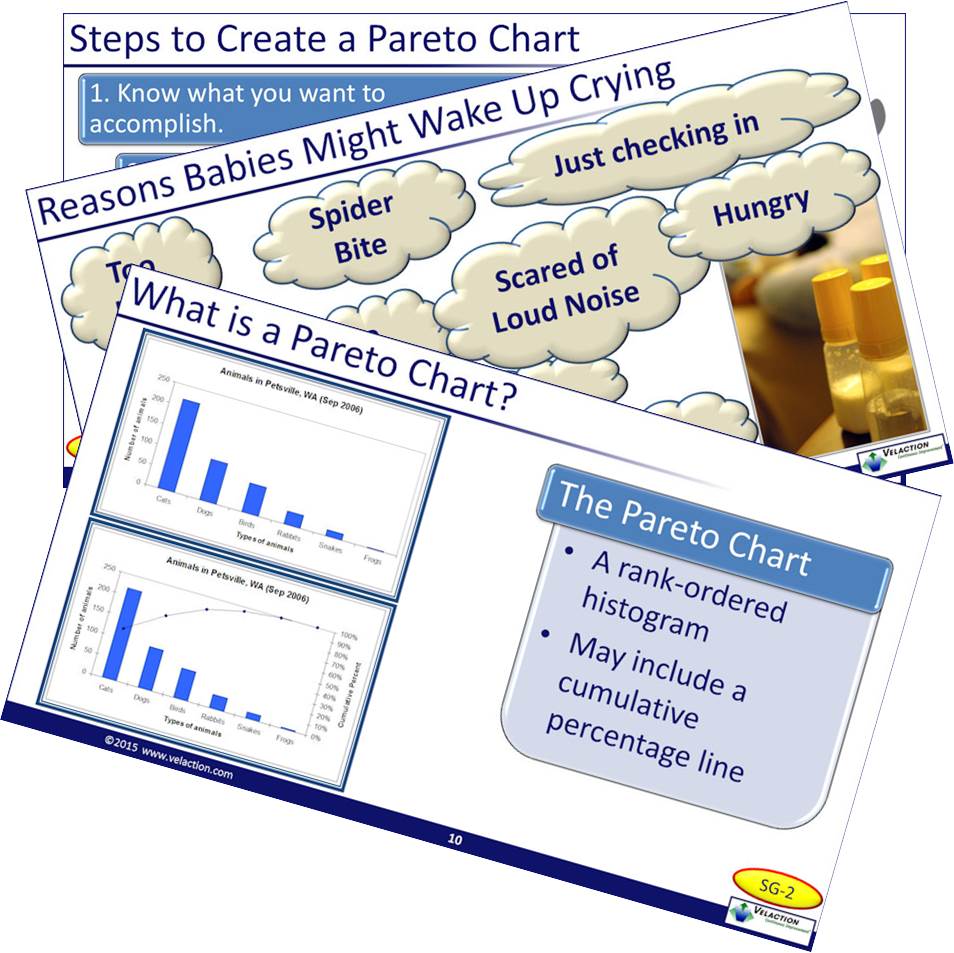 Pareto Charts Training Module – Velaction Store