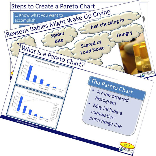 Pareto Charts Training Module – Velaction Store