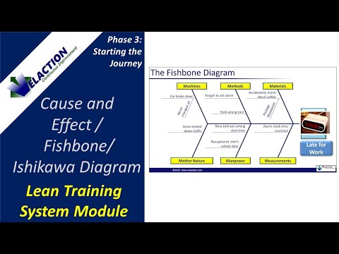 Cause and Effect / Ishikawa Diagram / Fishbone Diagram PowerPoint Presentation